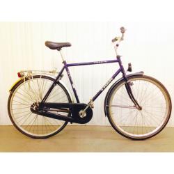 Trek city Bike Fully serviced, Single speed, Coaster Breaks