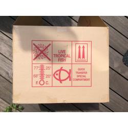 tropical fish transport boxes