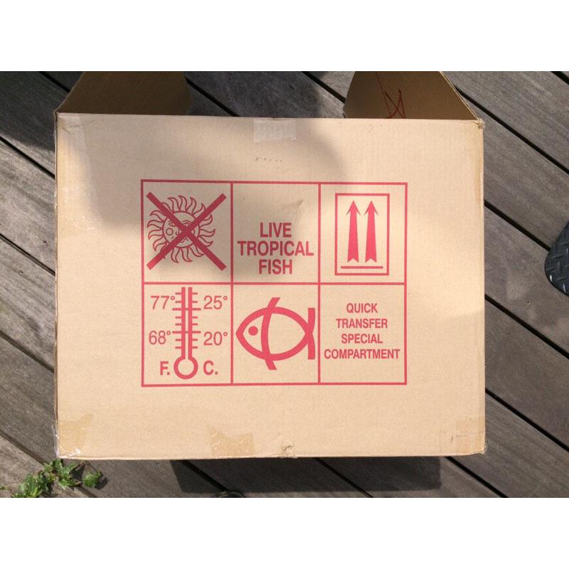 tropical fish transport boxes