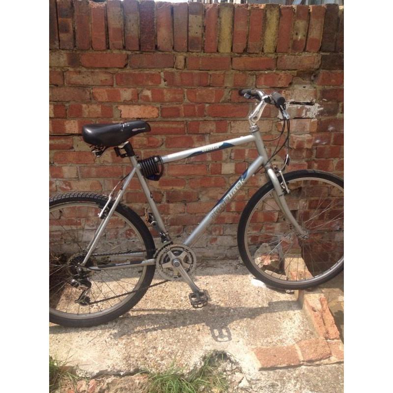 Ridgeback bike