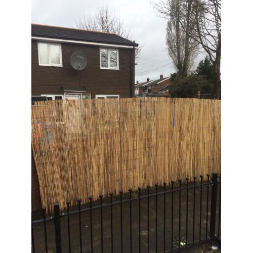 Split Bamboo Screening 3M long 2M Height
