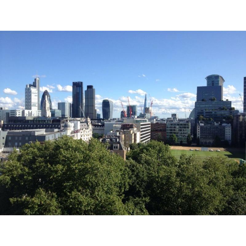 Penthouse Flat in Shoreditch, Double Bedroom, Yaw Dropping View