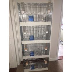 Canary Finch Pairing Cage
