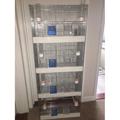 Canary Finch Pairing Cage