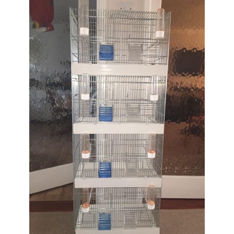 Canary Finch Pairing Cage