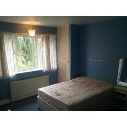 Specious big double room to let, short term available