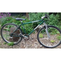 Trek 930 Singletrack Mountain Bike 10 11 12 years Junior kids boys small bicycle Bicycle Cycle