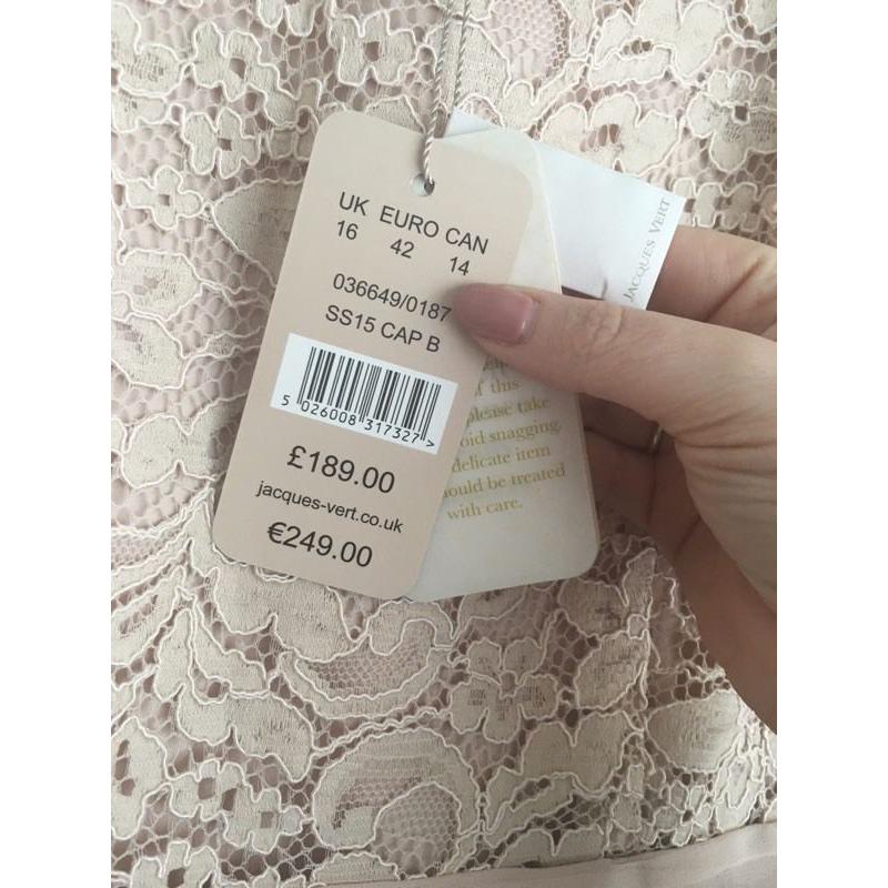 Jacques Vert Elegant lace dress (Mother of the Bride/wedding/formal wear)
