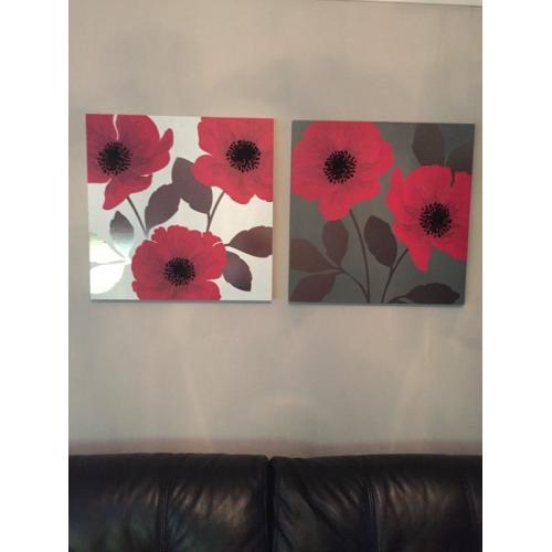 Next Canvases Poppy Range Excellent Condition