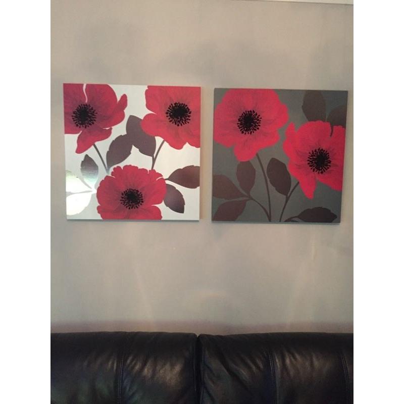 Next Canvases Poppy Range Excellent Condition
