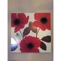 Next Canvases Poppy Range Excellent Condition