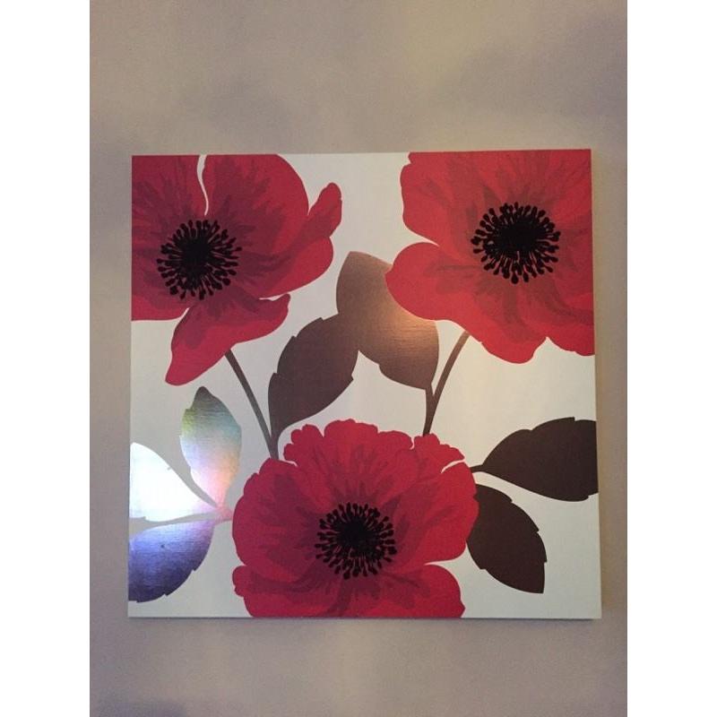 Next Canvases Poppy Range Excellent Condition