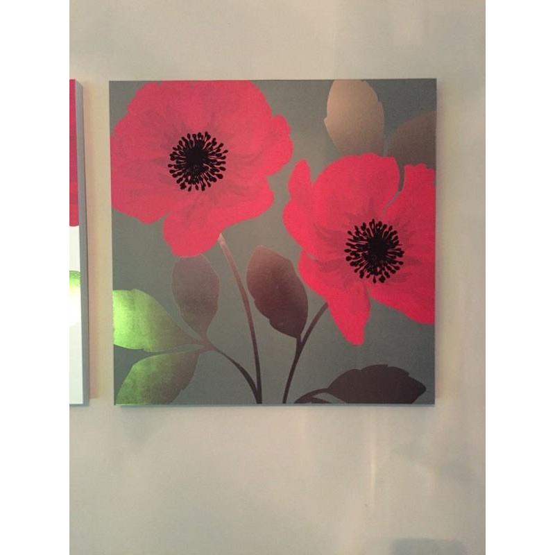 Next Canvases Poppy Range Excellent Condition