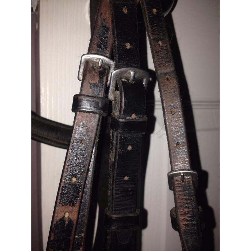 VARIOUS TACK ITEMS...WINTEC GIRTH, STIRRUPS, MARTINGALE, BRIDDLE, REINS