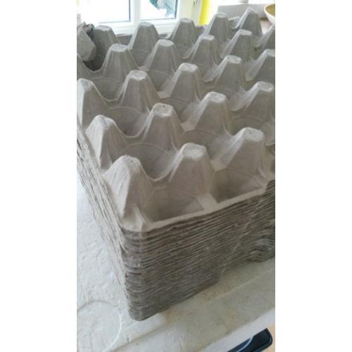 Lots of Egg Trays
