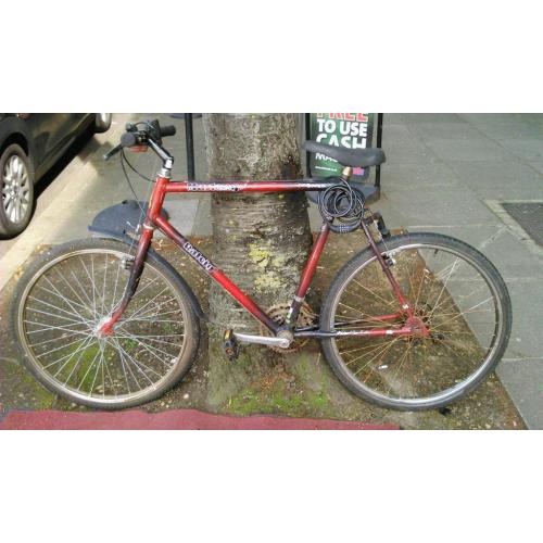 Mountain bike