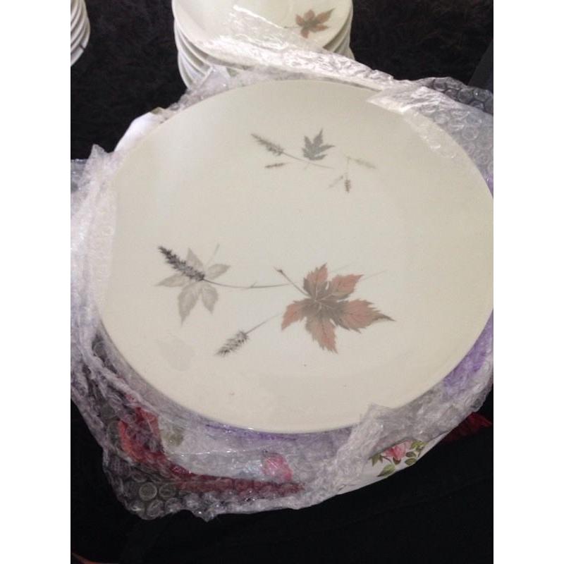 Royal Doulton Tumbling Leaves dinner plates