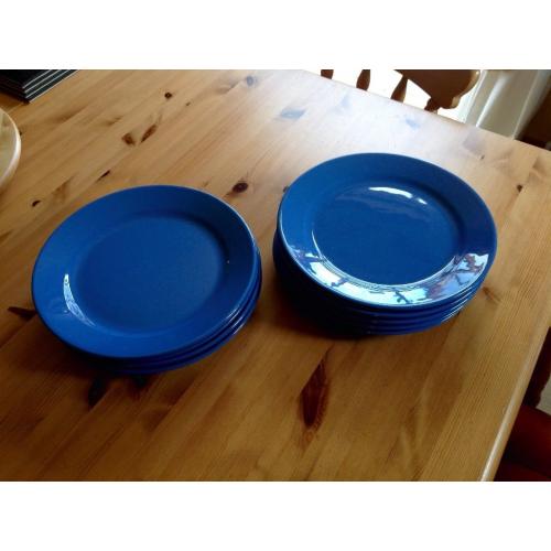Nine Blue Dinner Plates.