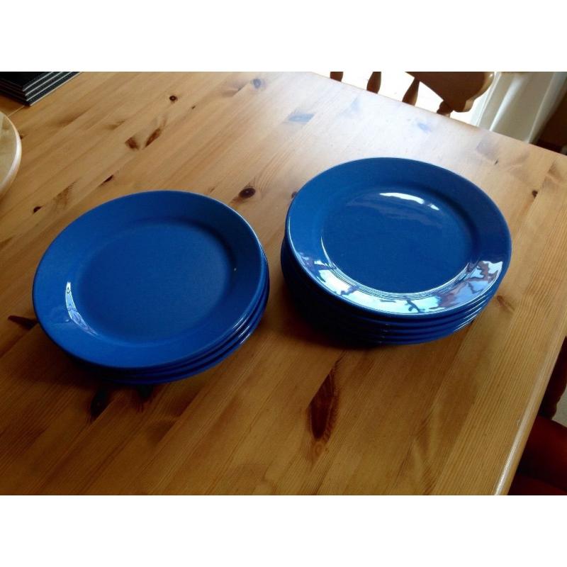 Nine Blue Dinner Plates.