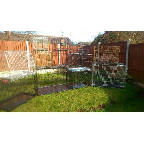dog crates