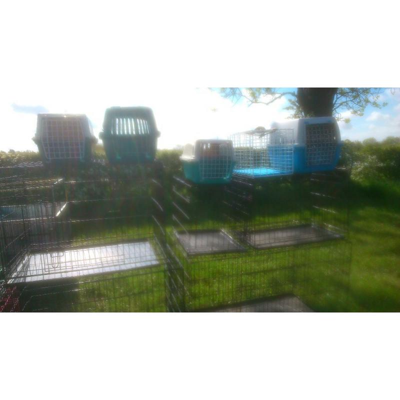dog crates
