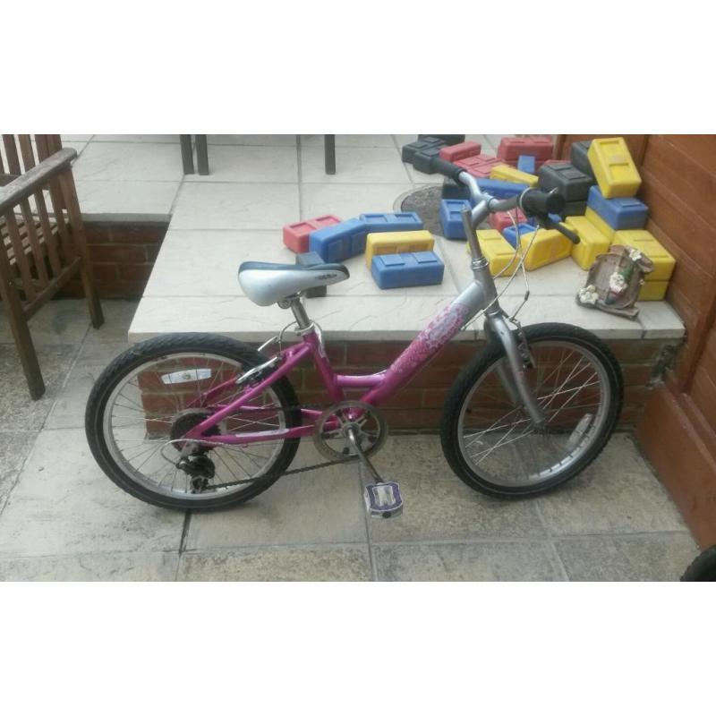 Raleigh girls bike