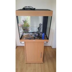Juwel lido 120 litre fish tank and stand