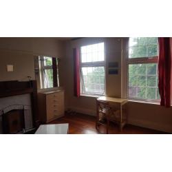 Large TWIN room with living area (Streatham Hill)
