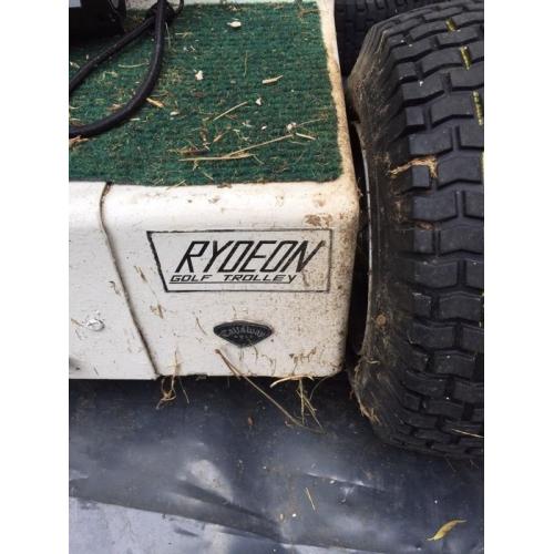 Motorised golf buggy (Rydeon) and