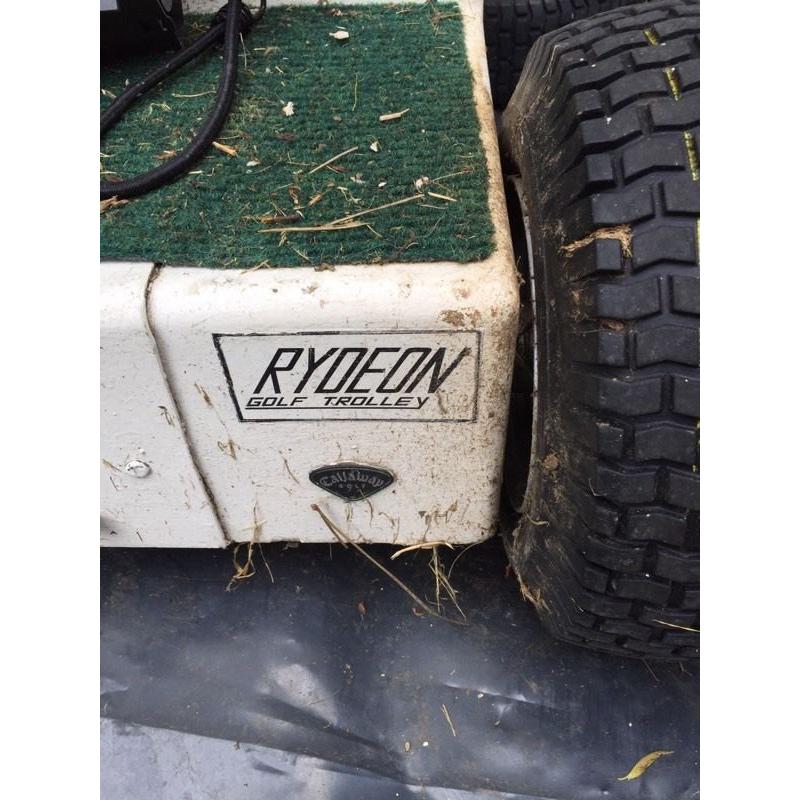 Motorised golf buggy (Rydeon) and