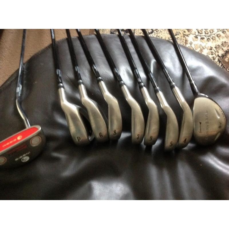 Inesis Golf Clubs