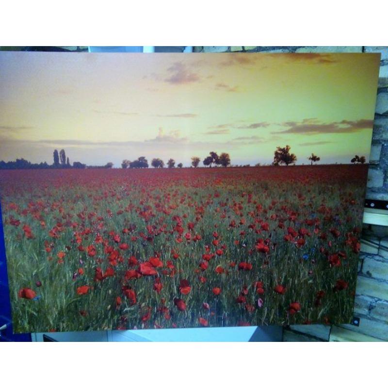 Large feature canvas poppy print size approx 89cm x 115cm Good condition