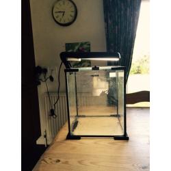Aquel small tropical fish tank with lamp and black gravel
