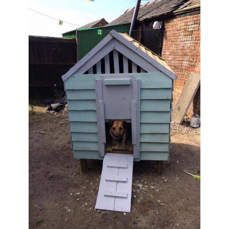 Chicken Coop