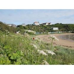 Stunning 2015 Willerby Rio Gold mobility caravan. 6 berth disability access sited in Coldingham