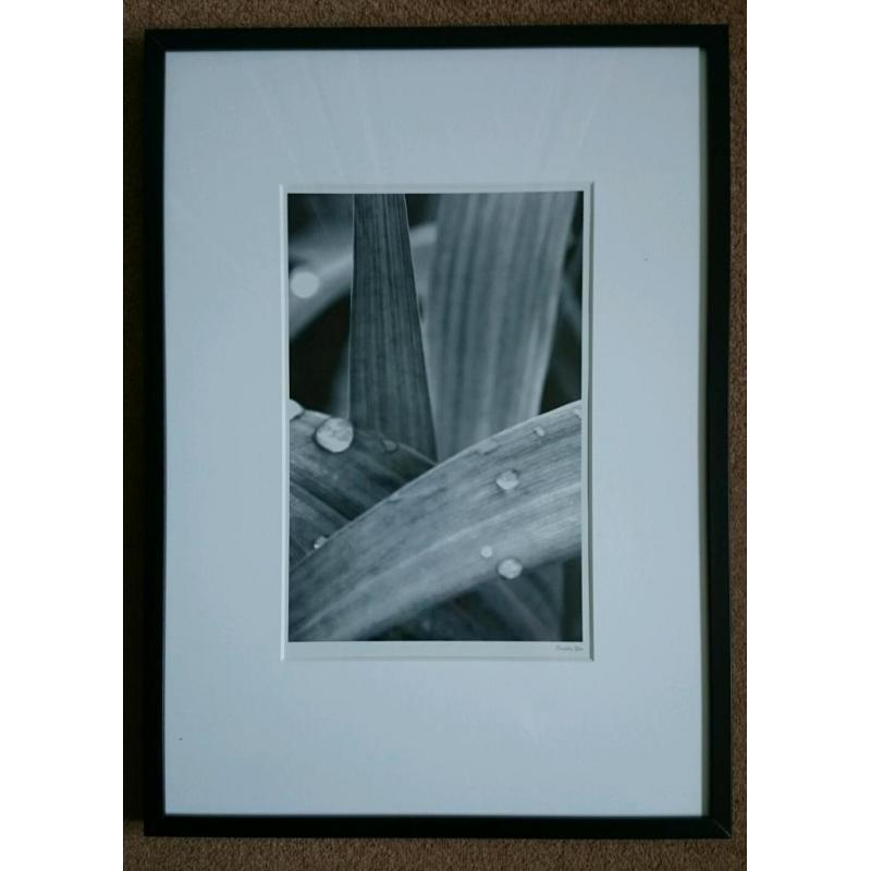 Framed IKEA print
