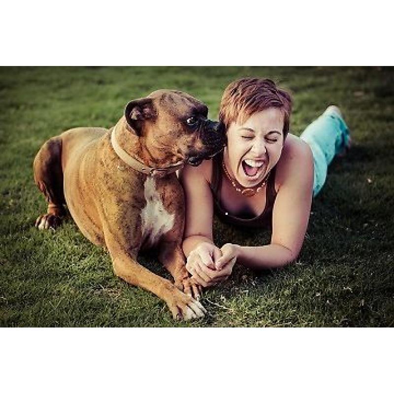 Would you like to become a pet sitter? Sign up to Pawshake today!!! Free Insurance included