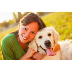 Would you like to become a pet sitter? Sign up to Pawshake today!!! Free Insurance included