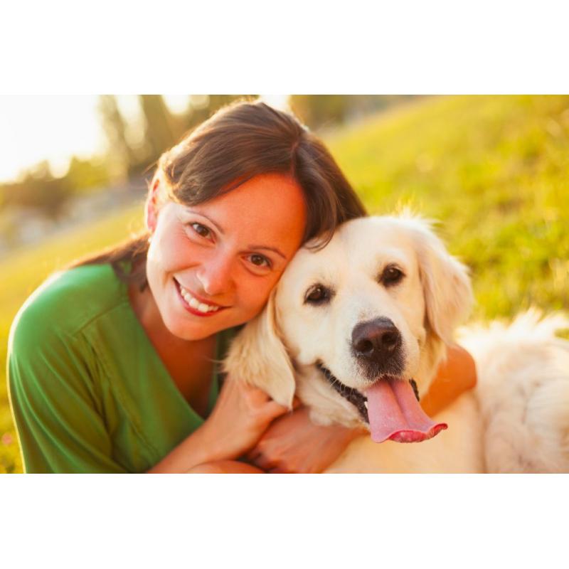 Would you like to become a pet sitter? Sign up to Pawshake today!!! Free Insurance included