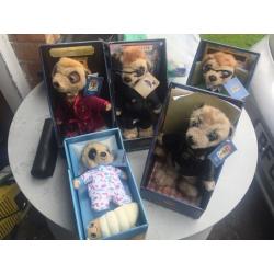 5 meerkats all boxed