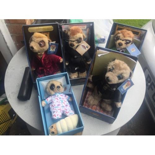 5 meerkats all boxed