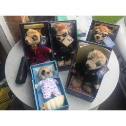 5 meerkats all boxed