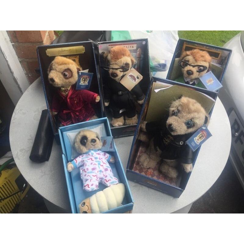 5 meerkats all boxed