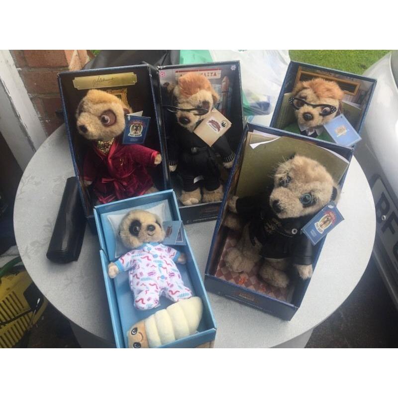5 meerkats all boxed