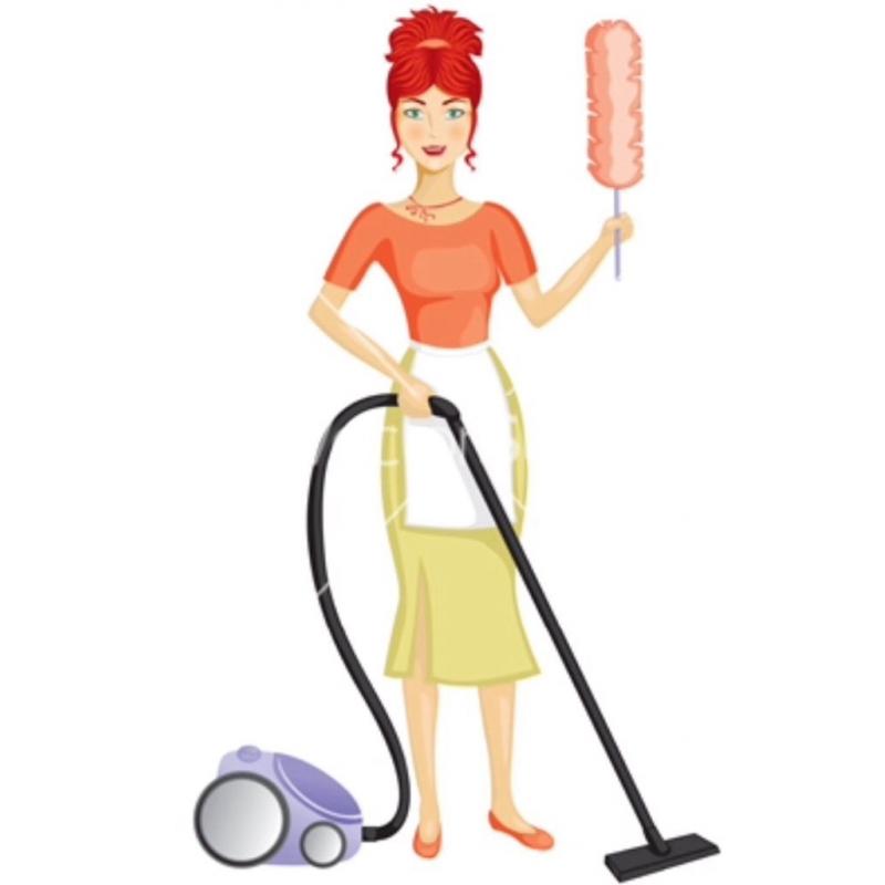Domestic cleaner