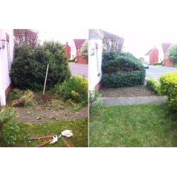Friendly, professional gardener. Gets the job done efficiently.
