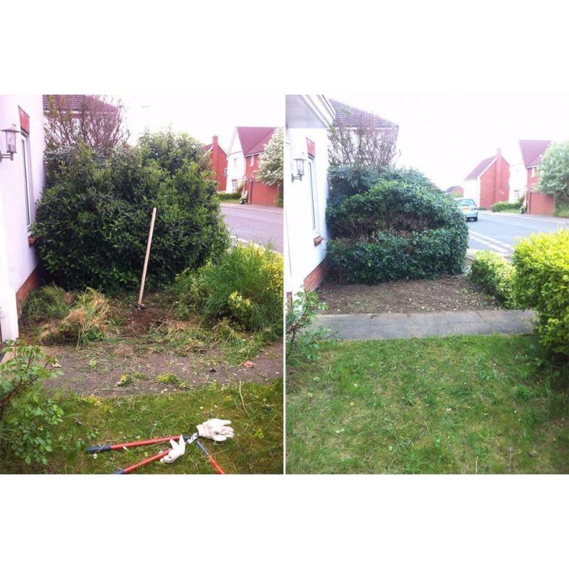 Friendly, professional gardener. Gets the job done efficiently.