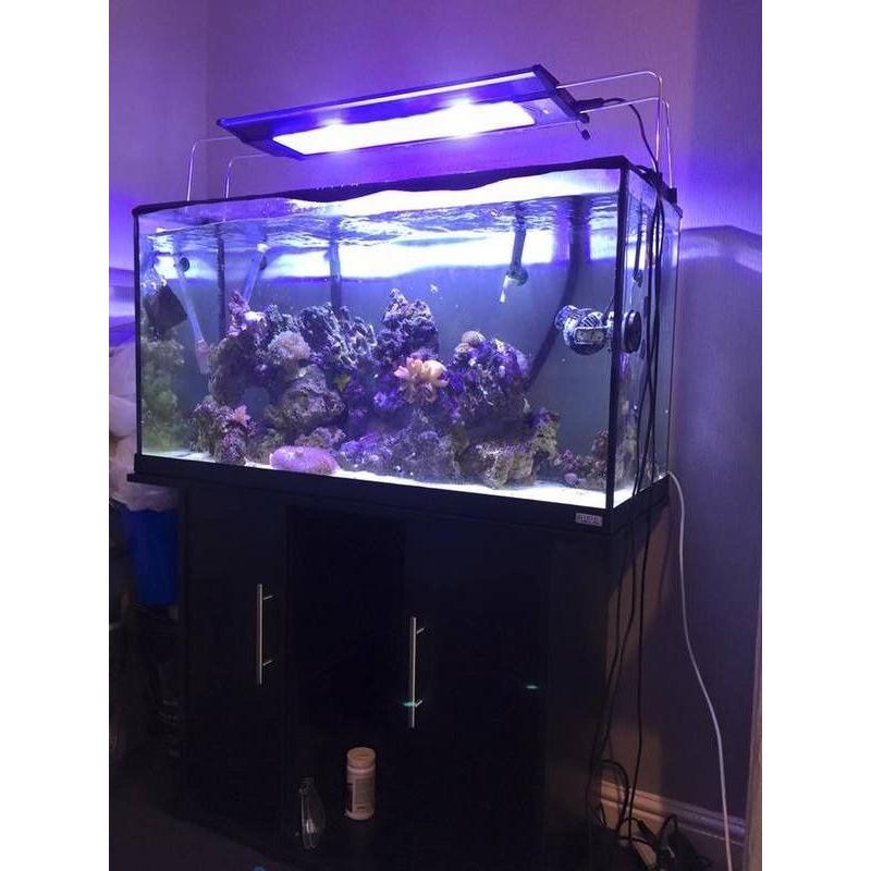 Marine fish tank light. LED TMC v2 iLumen Air 900.