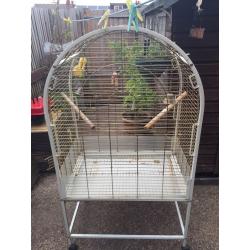 Parrot/bird cage