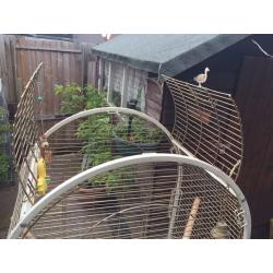 Parrot/bird cage